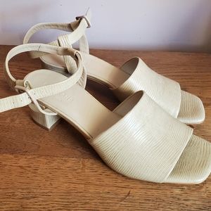 Everlane The Block Heel Sandal Sand Lizard